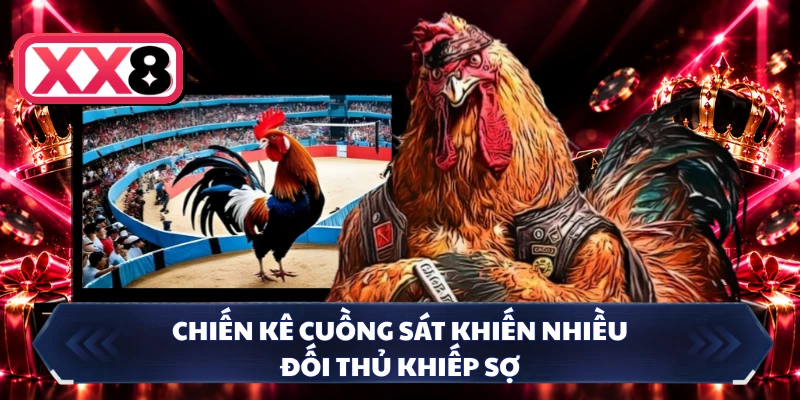 Chiến kê Cuồng Sát khiến nhiều đối thủ khiếp sợ