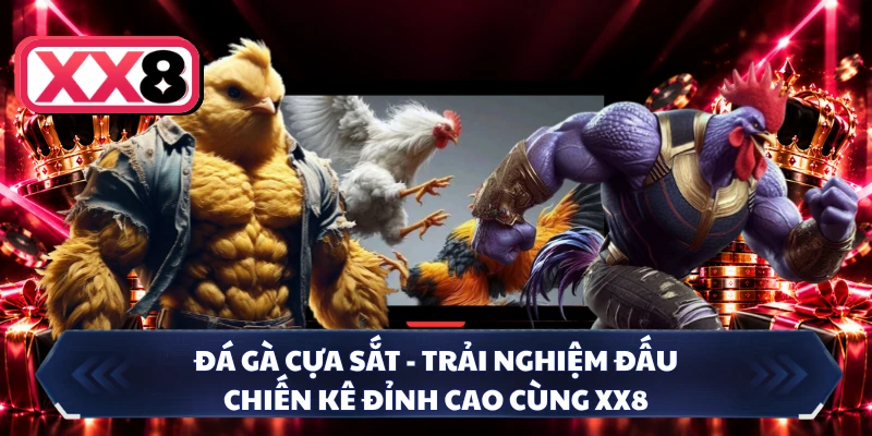 Đá Gà Cựa Sắt - Trải Nghiệm Đấu Chiến Kê Đỉnh Cao Cùng XX8